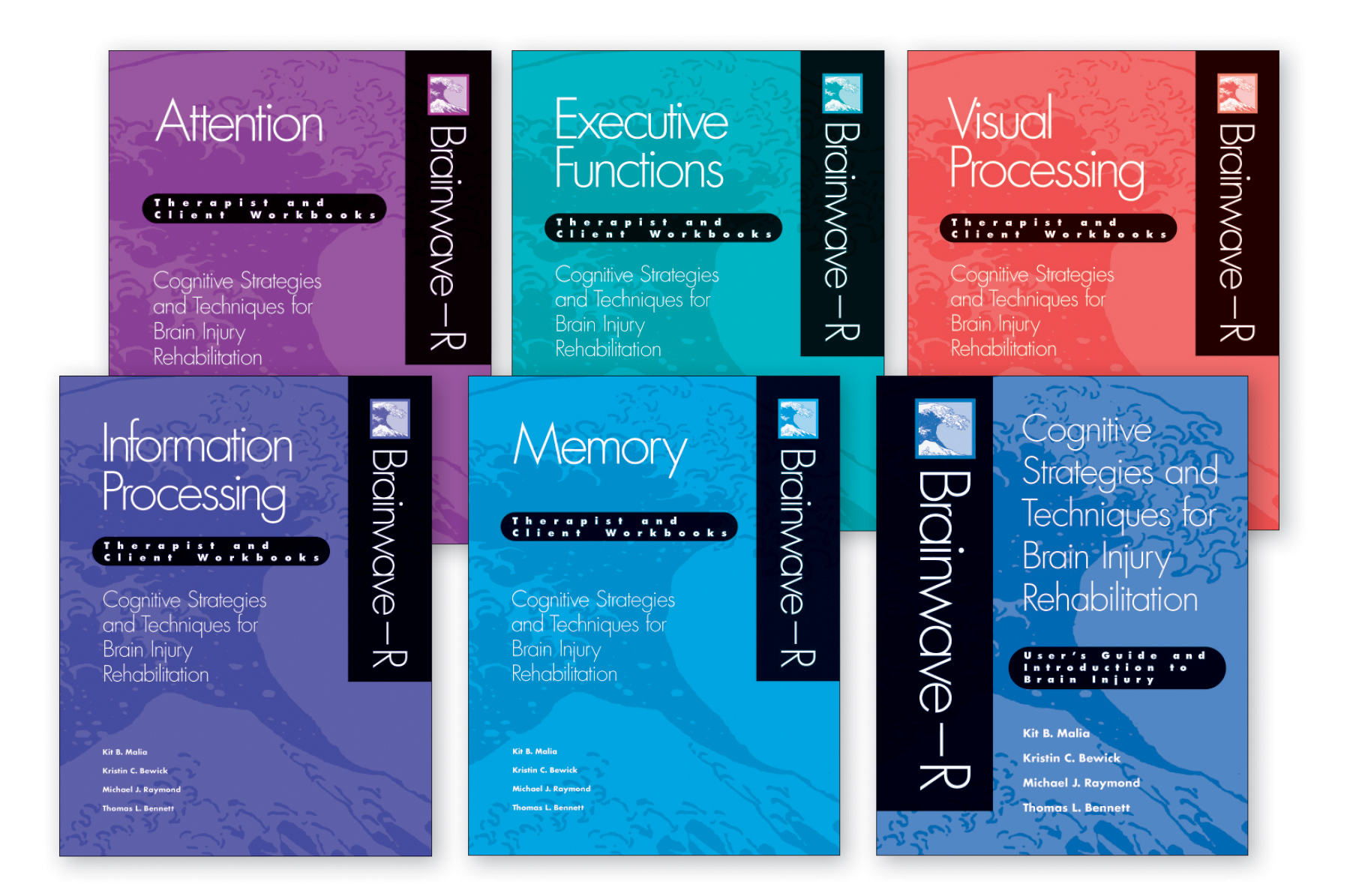 Brainwave–R: Cognitive Strategies and Techniques for Brain Injury Rehabilitation - 