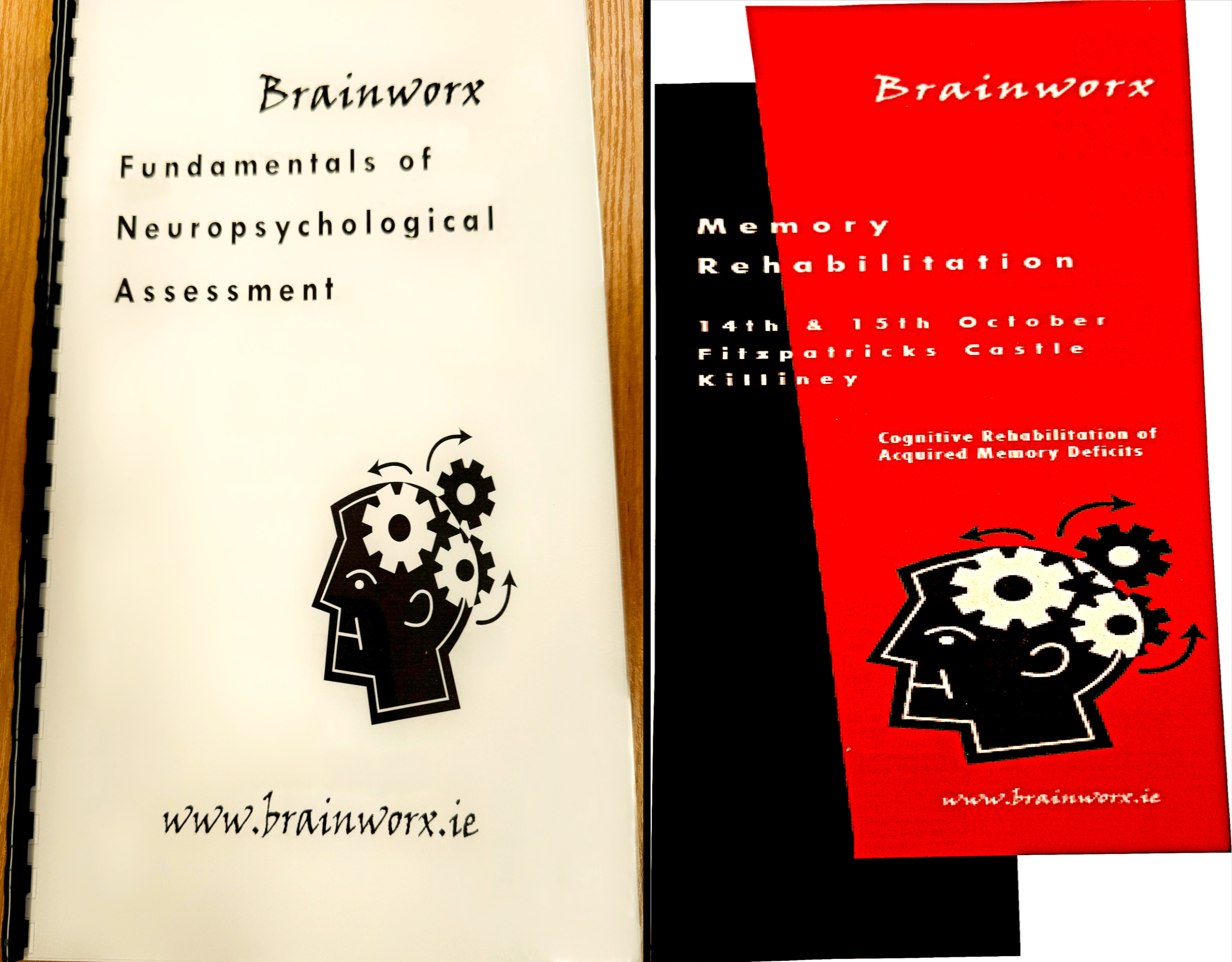 Memory Rehabilitation